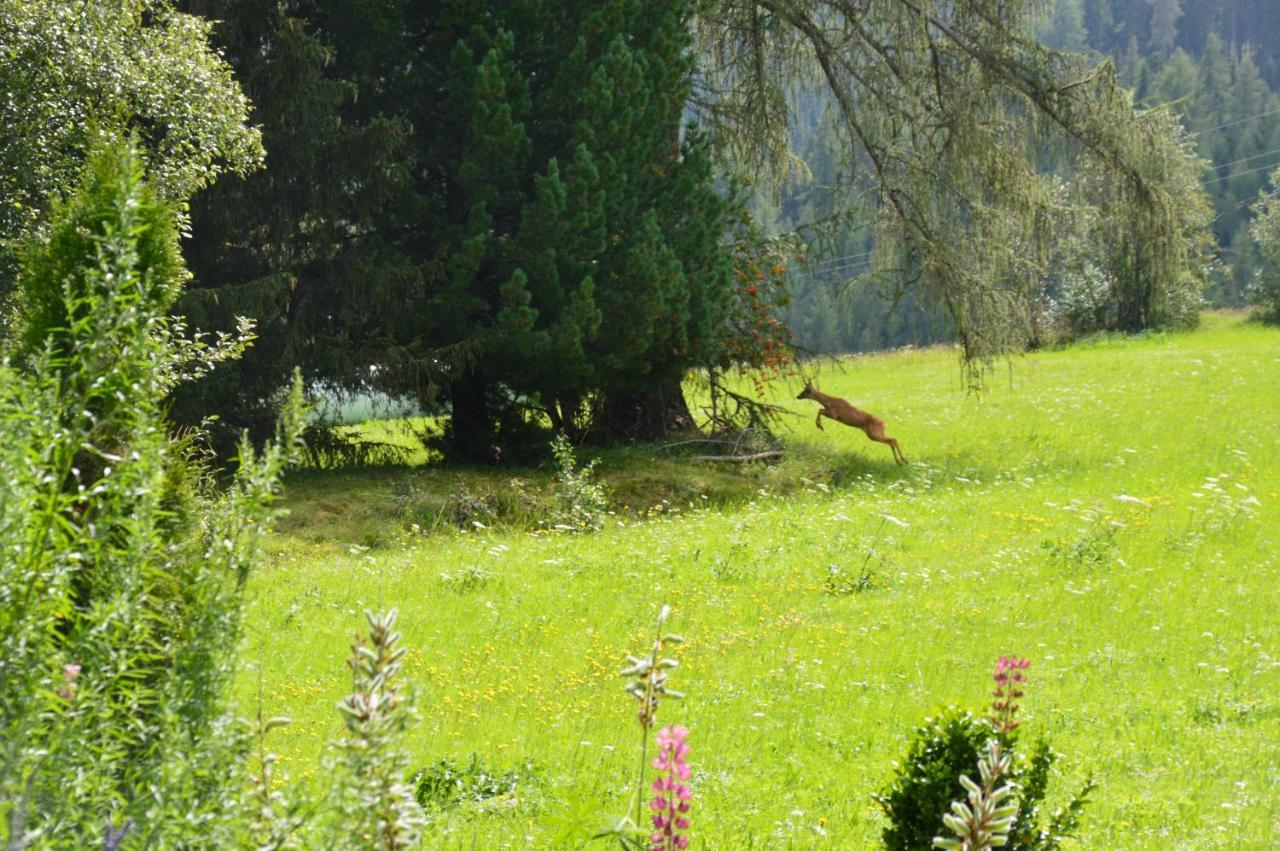 Landhaus Kaulfuss Sankt Jakob in Defereggen Bagian luar foto